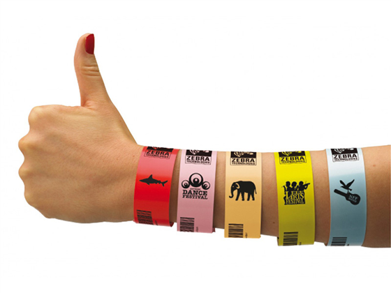 Z-Band Splash Wristband (50 Count)